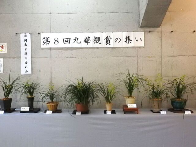 ①DSCN1753.JPG