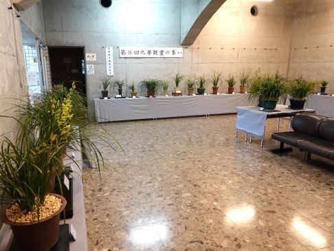 ④DSC09222.JPG