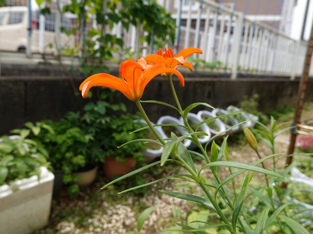 ⑥DSC00565.JPG