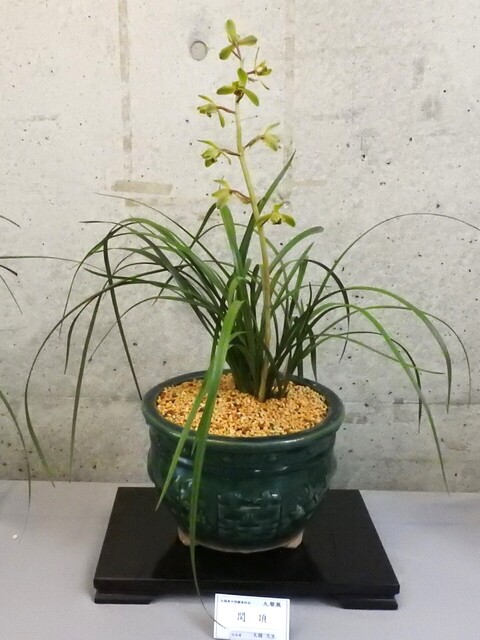 ⑩DSCN1566.JPG