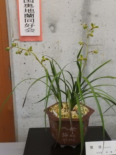 ⑭DSCN1577.JPG