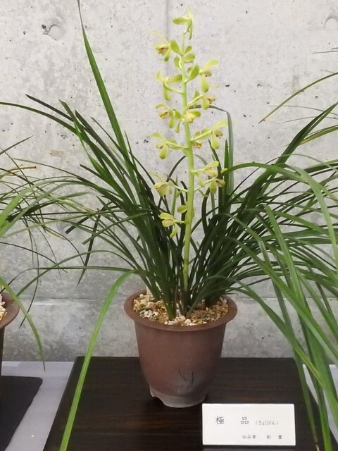 ⑱DSCN1589.JPG