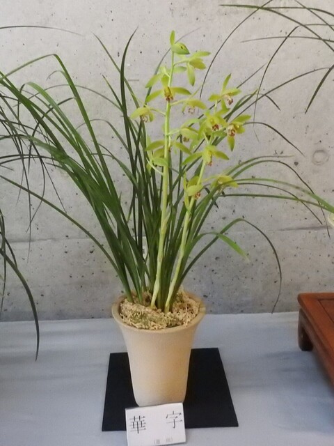おDSCN1663.JPG