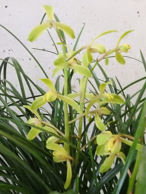 くDSCN1671.JPG