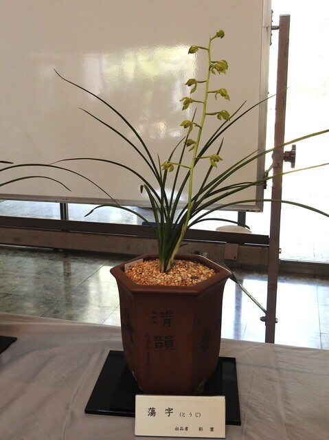 すDSCN1737.JPG