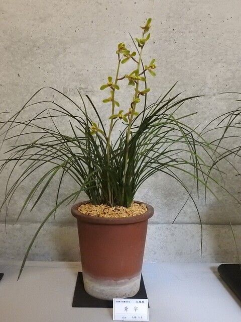 ちDSCN1704.JPG