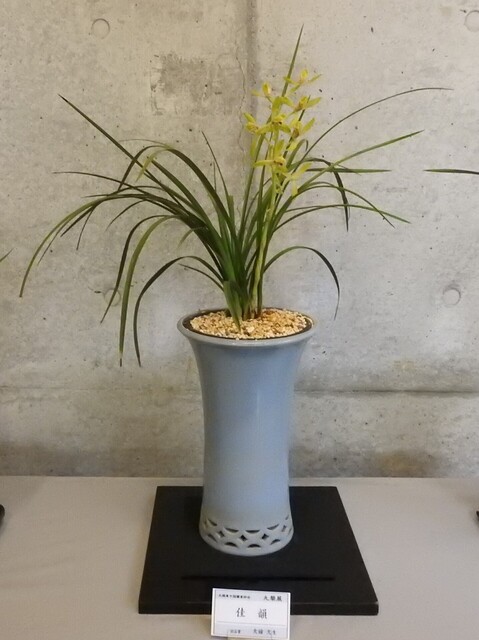 ひDSCN1696.JPG