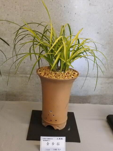 むDSCN1688.JPG