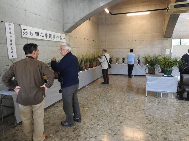 もDSCN1550.JPG