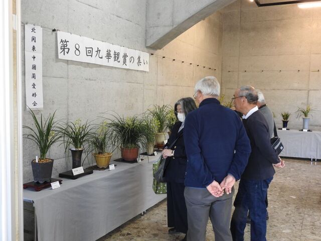 やDSCN1535.JPG