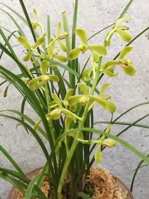 ㉑DSCN1596.JPG