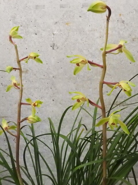 ㉓DSCN1601.JPG