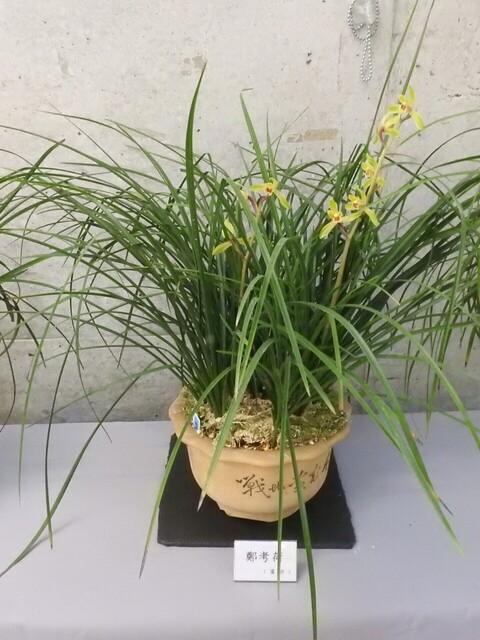 ㉔DSCN1604.JPG