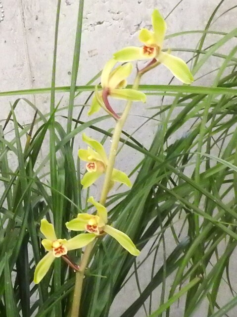 ㉕DSCN1606.JPG