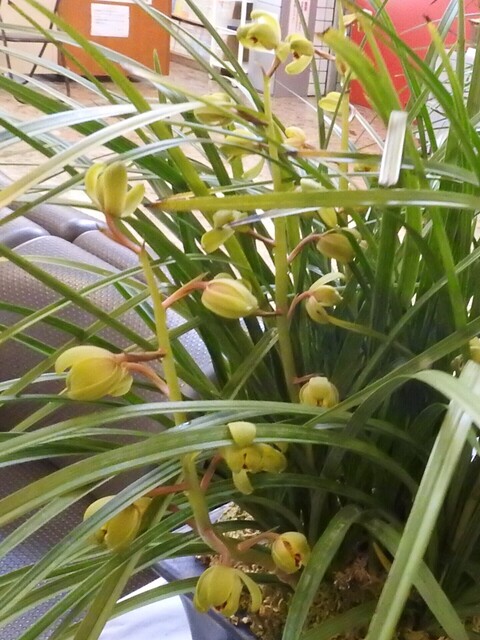㉙DSCN1615.JPG