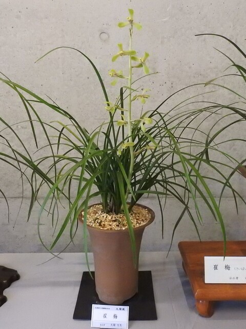 ㊱DSCN1629.JPG